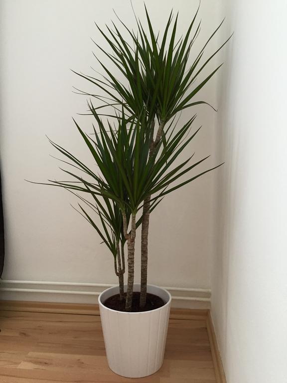 Apartamento Beautiful In Praga
